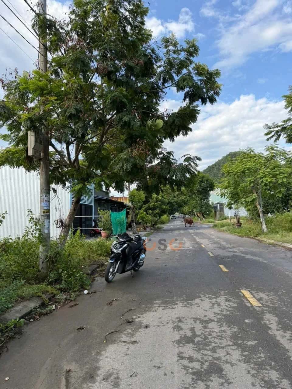 Bán đất Đại La 2 , TĐC Đại La Huyện Hòa Vang, TP. Đà Nẵng – giá 2.5 tỷ - ảnh 2